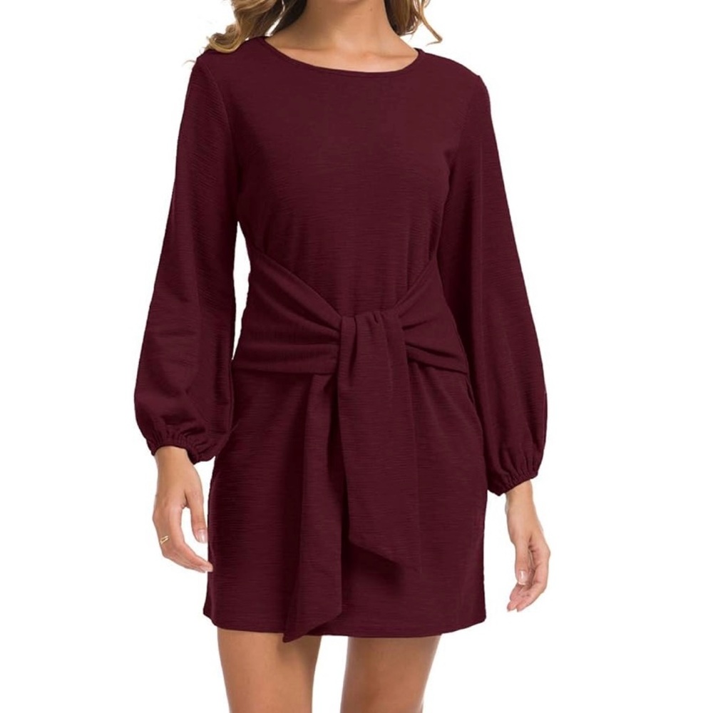 Elegant Burgundy Dress
